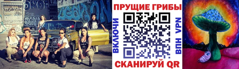 kraken рабочий сайт дарнет шоп Ухта Галлюциногенные грибы Psilocybine cubensis